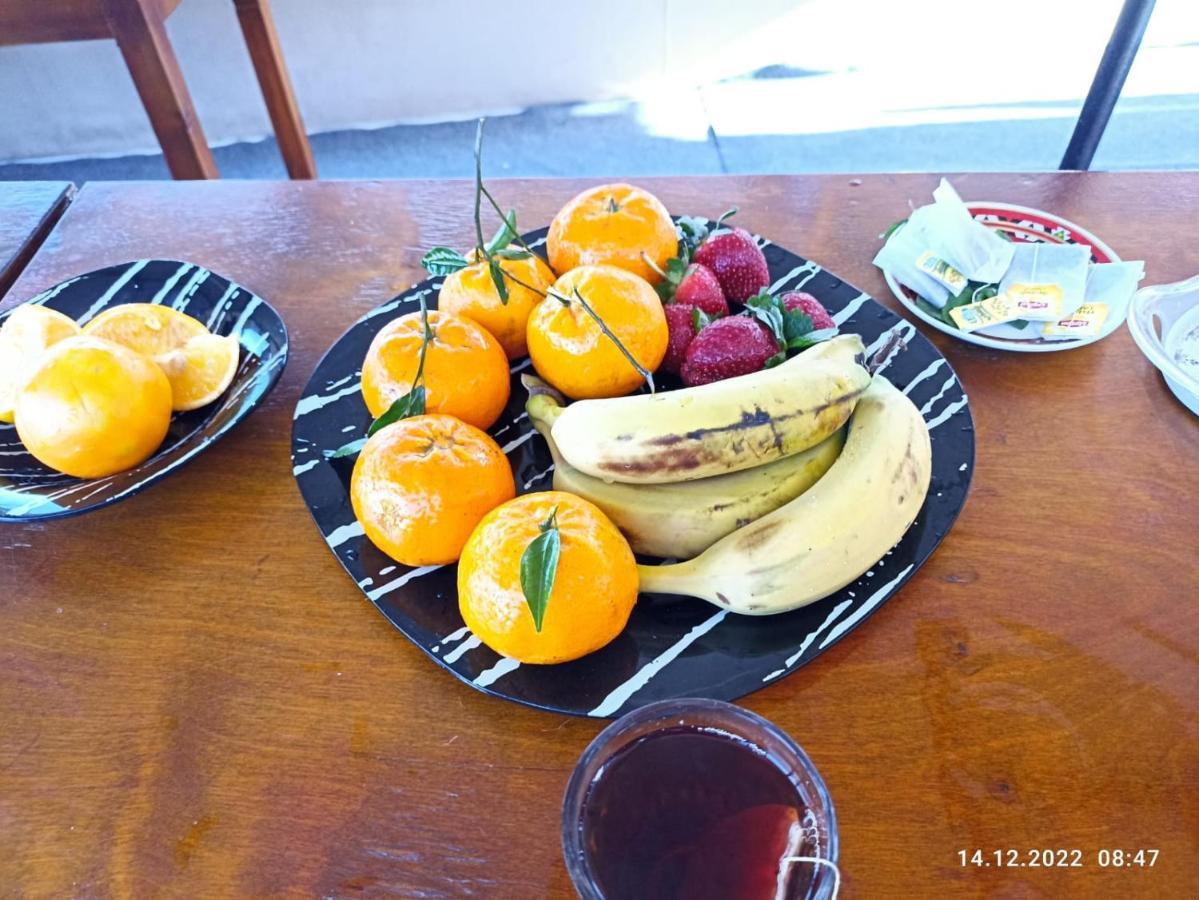 Houseboat Hotel And Nile Cruises Zainoba Асуан Екстериор снимка